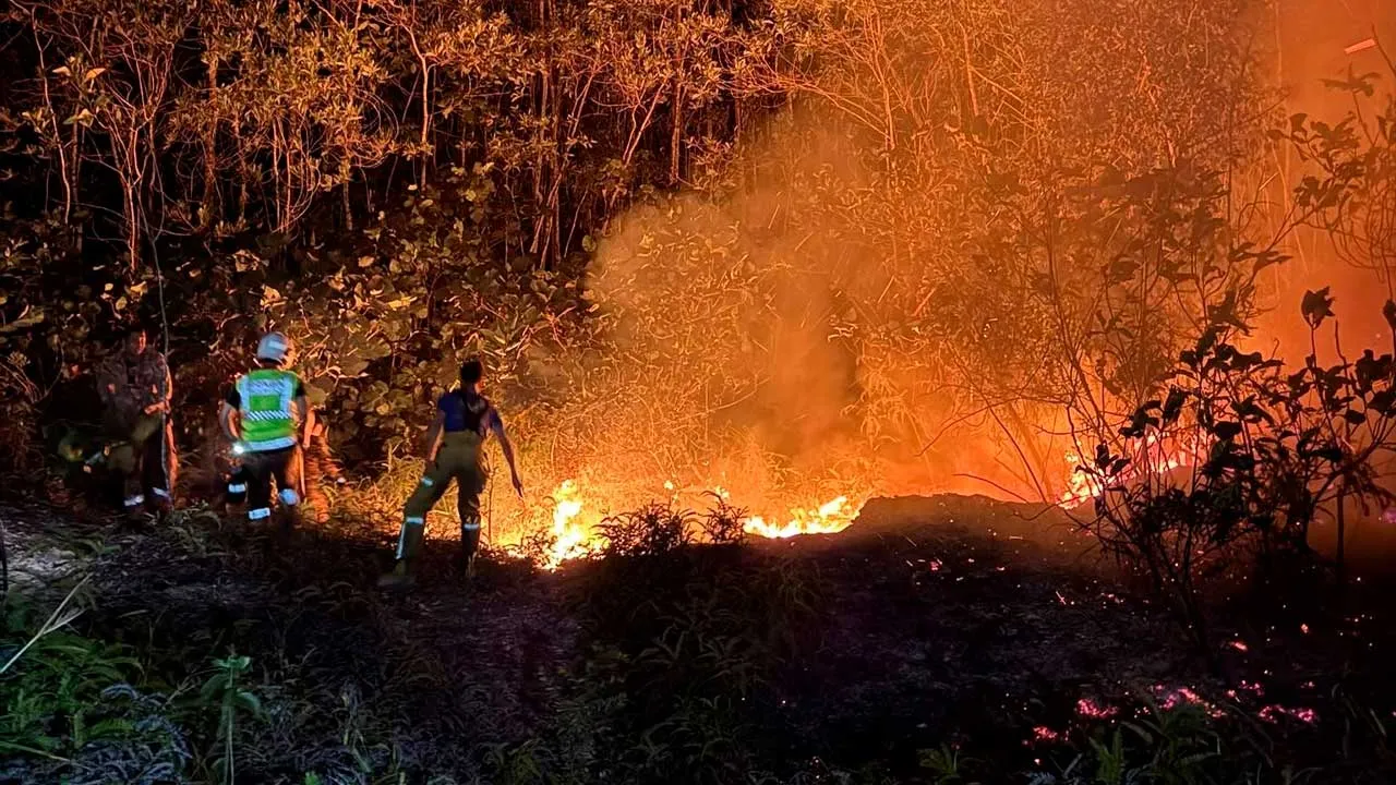 Forest Fire Recurs at Desaminium Rimba